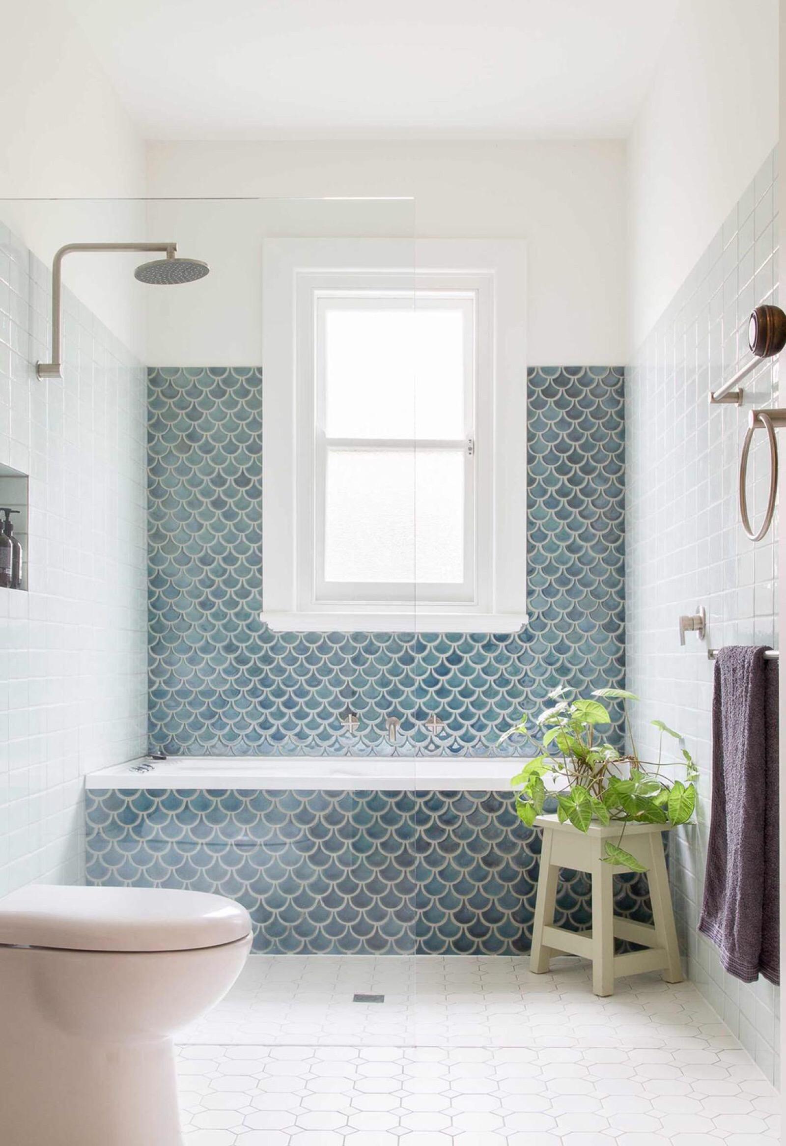 10 low-maintenance plants for your bathroom